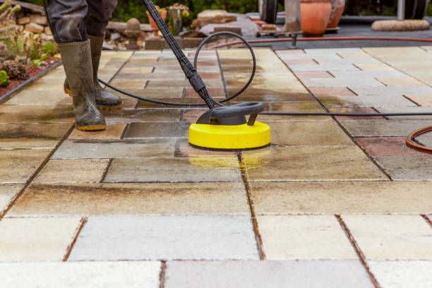 Best Dumpster Area Cleaning  in Hampton, AR