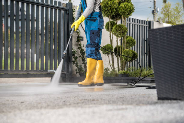 Best Sidewalk and Walkway Cleaning  in Hampton, AR