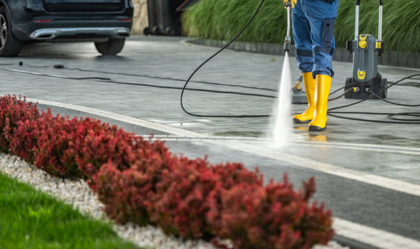 Best Solar Panel Cleaning  in Hampton, AR